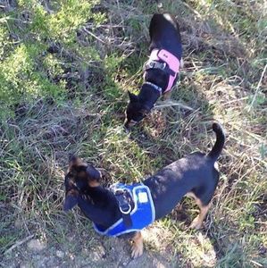 Meet your Posher, Erica